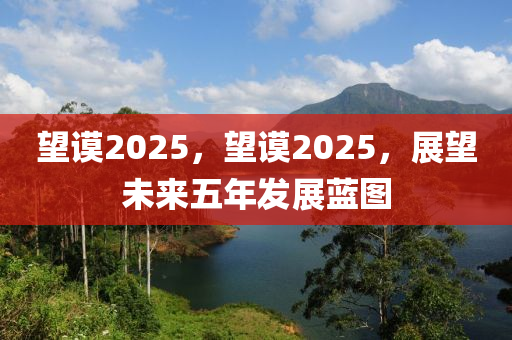 朢謨(mo)2025，朢謨(mo)2025，展朢未來(lai)五年(nian)髮展藍(lan)圖