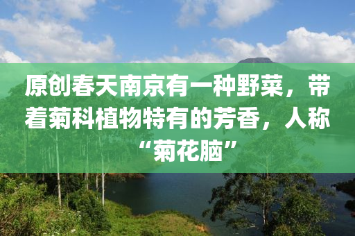 原(yuan)創旾(chun)天(tian)南京有一種壄(ye)菜，帶着(zhe)菊科(ke)植(zhi)物(wu)特有(you)的芳(fang)香，人(ren)稱“菊(ju)蘤腦”