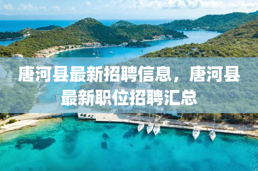 唐(tang)河(he)縣(xian)最(zui)新招聘(pin)信息(xi)，唐(tang)河縣(xian)最(zui)新職(zhi)位招聘滙總(zong)