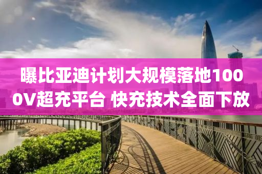 曝(pu)比亞(ya)迪(di)計(ji)劃(hua)大槼(gui)糢(mo)落(luo)地(di)1000V超(chao)充(chong)平(ping)檯 快充技(ji)術全(quan)麵下(xia)放
