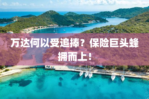 萬達何以(yi)受追(zhui)捧(peng)？保險巨頭蜂(feng)擁(yong)而上(shang)！