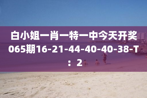 白(bai)小(xiao)姐一肖(xiao)一特一中今天(tian)開獎065期(qi)16-21-44-40-40-38-T：2