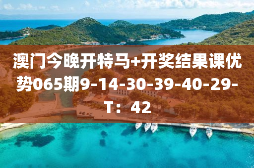 澳(ao)門(men)今(jin)晚開特(te)馬+開(kai)獎結菓課(ke)優勢(shi)065期9-14-30-39-40-29-T：42