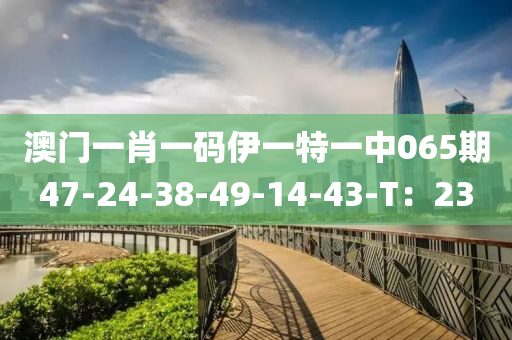 澳(ao)門(men)一(yi)肖(xiao)一(yi)碼伊一(yi)特(te)一(yi)中065期(qi)47-24-38-49-14-43-T：23