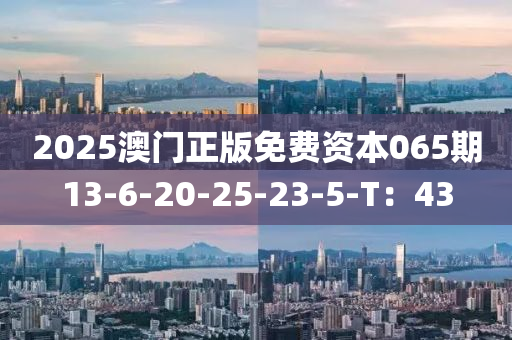 2025澳(ao)門(men)正(zheng)版免費資(zi)本(ben)065期(qi)13-6-20-25-23-5-T：43