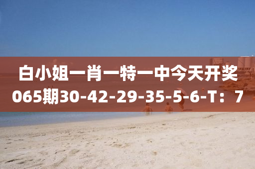 白小(xiao)姐(jie)一(yi)肖一(yi)特一中(zhong)今天開(kai)獎(jiang)065期(qi)30-42-29-35-5-6-T：7