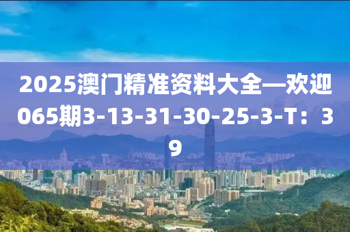 2025澳門精(jing)準資(zi)料(liao)大(da)全(quan)—歡(huan)迎(ying)065期3-13-31-30-25-3-T：39