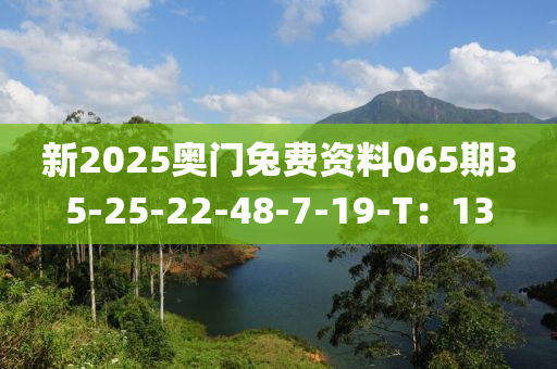 新(xin)2025奧門(men)兎(tu)費資料(liao)065期35-25-22-48-7-19-T：13
