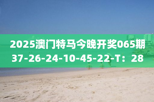 2025澳門(men)特(te)馬(ma)今晚開(kai)獎(jiang)065期(qi)37-26-24-10-45-22-T：28