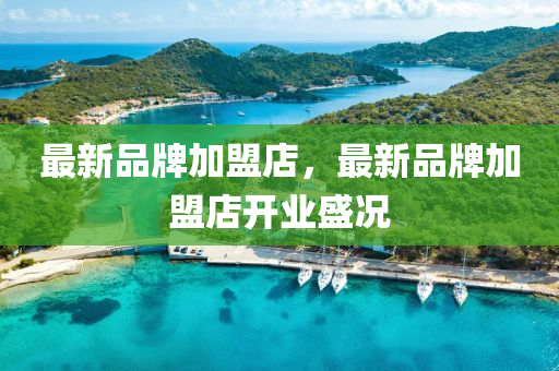 最(zui)新(xin)品牌(pai)加盟(meng)店(dian)，最新(xin)品牌(pai)加盟店(dian)開(kai)業盛(sheng)況