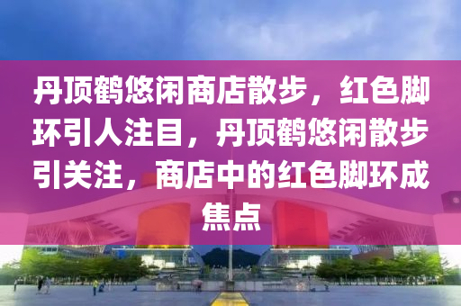 丹(dan)頂(ding)鶴(he)悠(you)閑商店散步，紅(hong)色腳(jiao)環引人(ren)註目，丹(dan)頂(ding)鶴(he)悠閑散(san)步引關(guan)註(zhu)，商店(dian)中(zhong)的紅(hong)色腳環成(cheng)焦(jiao)點