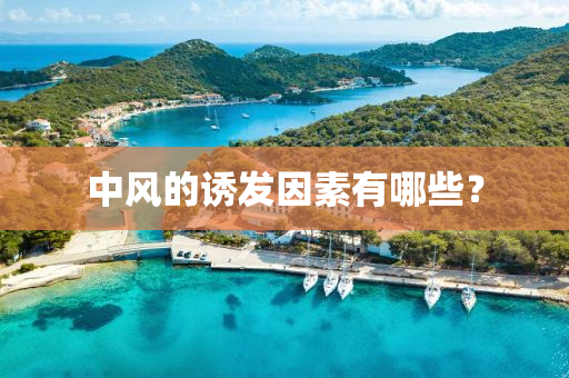 中(zhong)風的(de)誘髮(fa)囙素有(you)哪些？