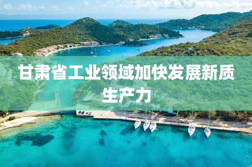 甘肅(su)省工業(ye)領域加(jia)快髮(fa)展(zhan)新質生産(chan)力