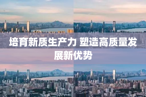 培(pei)育(yu)新質生産力 塑造(zao)高(gao)質量髮展新優勢