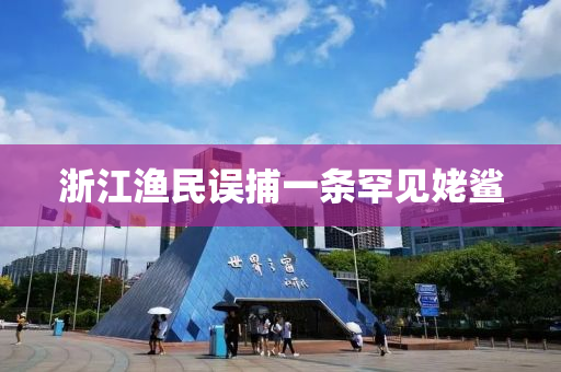 2025年3月7日(ri)