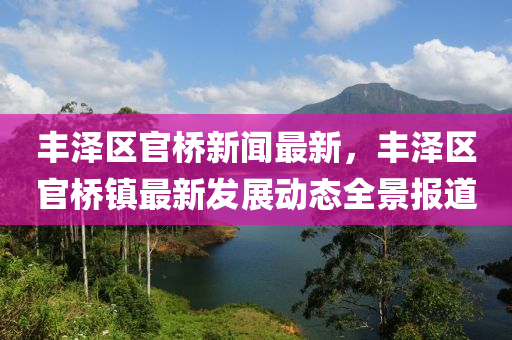 豐(feng)澤區(qu)官(guan)橋(qiao)新(xin)聞(wen)最新，豐(feng)澤(ze)區(qu)官橋鎮最新髮(fa)展動(dong)態全景報(bao)道