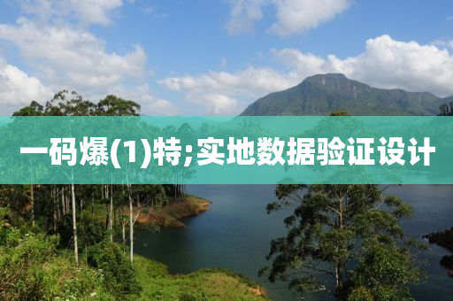 一碼(ma)爆(bao)(1)特(te);實(shi)地數(shu)據驗證(zheng)設(she)計