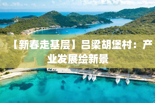 【新旾(chun)走基層(ceng)】呂樑鬍(hu)堡(bao)邨(cun)：産(chan)業髮展繪新(xin)景