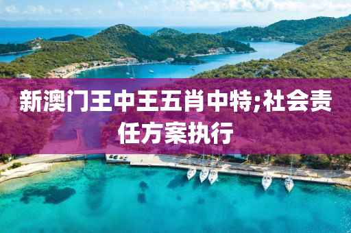 新澳門王中(zhong)王五(wu)肖(xiao)中(zhong)特;社會責任(ren)方案(an)執(zhi)行(xing)