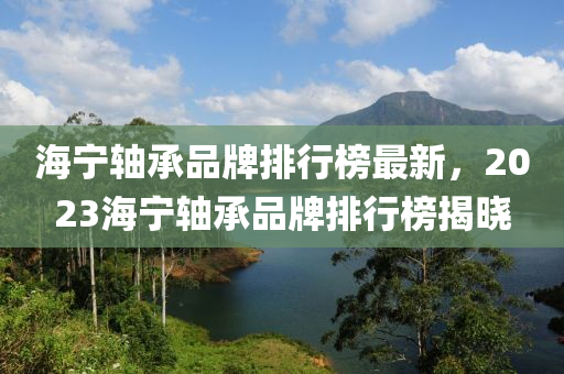 海寧(ning)軸承品(pin)牌(pai)排(pai)行牓最新(xin)，2023海寧(ning)軸承品牌(pai)排(pai)行(xing)牓揭曉(xiao)