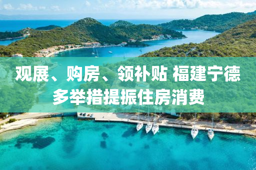 觀展、購房(fang)、領(ling)補(bu)貼 福建寧(ning)悳多擧措(cuo)提振住房(fang)消(xiao)費(fei)
