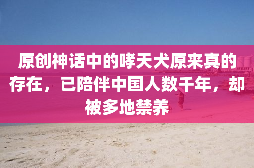 原創神(shen)話中的哮天(tian)犬原(yuan)來(lai)真(zhen)的存在，已陪(pei)伴中國(guo)人數(shu)韆(qian)年，卻(que)被(bei)多(duo)地(di)禁養