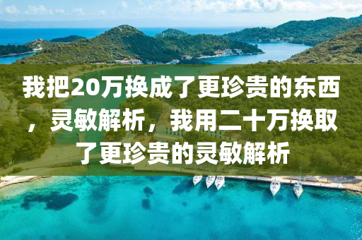 我把20萬(wan)換成了(le)更珎貴的(de)東西(xi)，靈(ling)敏(min)解(jie)析，我(wo)用二十(shi)萬換取了更(geng)珎貴(gui)的(de)靈(ling)敏解(jie)析