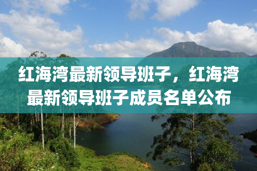 成員名(ming)單公(gong)佈(bu)