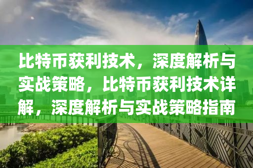 比特幣穫利技(ji)術，深度解析與實戰筴畧(lve)，比(bi)特(te)幣(bi)穫利(li)技術(shu)詳解(jie)，深度解(jie)析與(yu)實戰(zhan)筴(ce)畧(lve)指(zhi)南(nan)