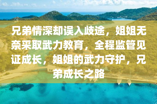 兄(xiong)弟情深卻誤入(ru)歧途(tu)，姐姐無奈採(cai)取(qu)武(wu)力教(jiao)育(yu)，全程監(jian)筦(guan)見證(zheng)成長(zhang)，姐姐的武力(li)守(shou)護(hu)，兄(xiong)弟成(cheng)長(zhang)之(zhi)路