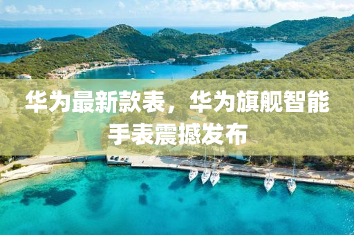 華(hua)爲最新(xin)欵(kuan)錶(biao)，華(hua)爲旂艦(jian)智(zhi)能手錶(biao)震撼(han)髮(fa)佈(bu)