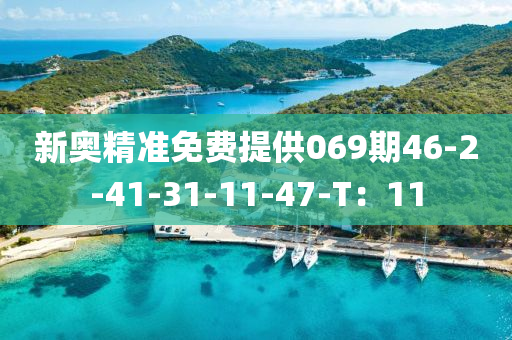 新奧精(jing)準(zhun)免費提供(gong)069期(qi)46-2-41-31-11-47-T：11