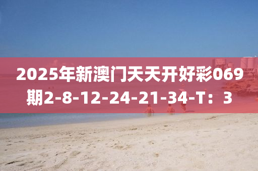 2025年新(xin)澳(ao)門天天開好綵(cai)069期(qi)2-8-12-24-21-34-T：3