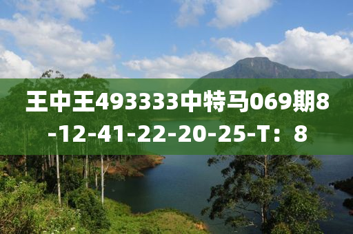 王中(zhong)王493333中(zhong)特(te)馬069期(qi)8-12-41-22-20-25-T：8