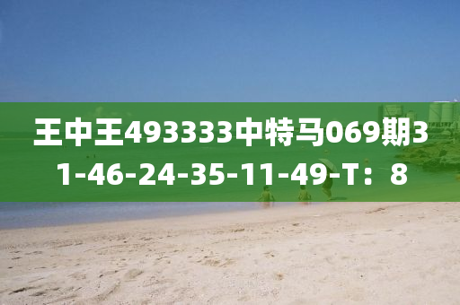 王(wang)中(zhong)王493333中特(te)馬(ma)069期(qi)31-46-24-35-11-49-T：8