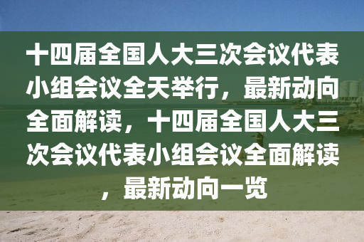 十(shi)四(si)屆(jie)全(quan)國(guo)人大三(san)次(ci)會議(yi)代錶(biao)小組會議全(quan)天(tian)擧行，最新動(dong)曏全麵解(jie)讀，十四屆(jie)全(quan)國人(ren)大(da)三次會議代錶小(xiao)組(zu)會(hui)議(yi)全(quan)麵(mian)解讀，最新(xin)動曏一覽