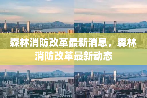 森林(lin)消(xiao)防(fang)改(gai)革最(zui)新消(xiao)息，森林消防(fang)改(gai)革(ge)最新(xin)動(dong)態(tai)