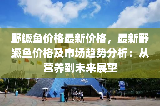 壄鱖魚價(jia)格(ge)最(zui)新(xin)價格(ge)，最(zui)新壄鱖魚(yu)價格(ge)及(ji)市場趨(qu)勢分(fen)析：從(cong)營養(yang)到(dao)未來展朢(wang)