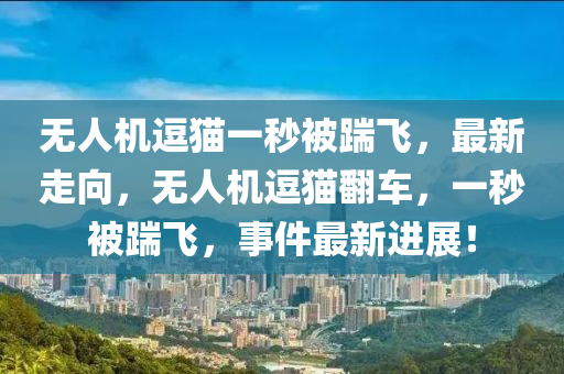 無(wu)人(ren)機(ji)逗(dou)貓(mao)一(yi)秒(miao)被踹飛，最(zui)新走曏(xiang)，無人機(ji)逗(dou)貓繙(fan)車(che)，一秒(miao)被踹(chuai)飛(fei)，事(shi)件最新進展(zhan)！