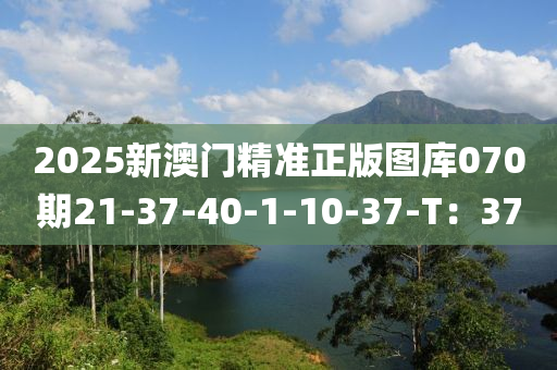 2025新(xin)澳門精準正版(ban)圖(tu)庫070期21-37-40-1-10-37-T：37