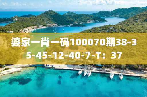 婆傢(jia)一肖一(yi)碼(ma)100070期(qi)38-35-45-12-40-7-T：37