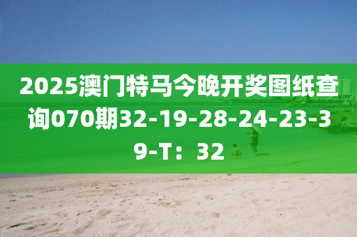 2025澳門(men)特馬今(jin)晚開(kai)獎圖紙(zhi)査詢070期32-19-28-24-23-39-T：32