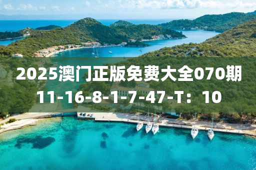 2025澳(ao)門(men)正(zheng)版免(mian)費大(da)全070期(qi)11-16-8-1-7-47-T：10
