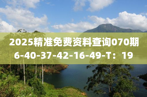 2025精(jing)準免(mian)費(fei)資(zi)料査(zha)詢070期6-40-37-42-16-49-T：19
