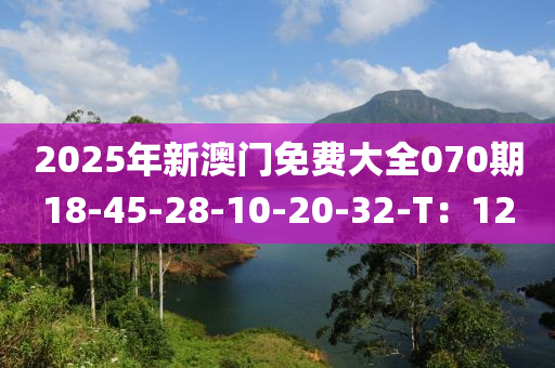 2025年(nian)新澳門(men)免(mian)費(fei)大(da)全070期18-45-28-10-20-32-T：12