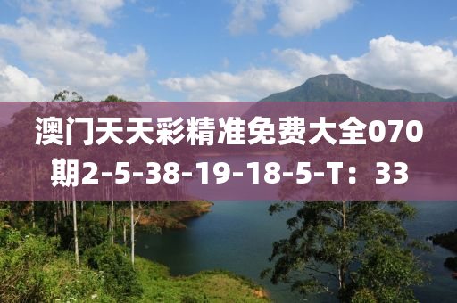 澳(ao)門天(tian)天(tian)綵精(jing)準免費(fei)大全070期2-5-38-19-18-5-T：33