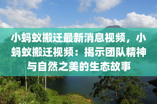 小螞蟻(yi)搬(ban)遷最新消息(xi)視(shi)頻，小(xiao)螞蟻(yi)搬遷(qian)視(shi)頻：揭示糰隊精(jing)神(shen)與(yu)自(zi)然之(zhi)美(mei)的生(sheng)態故事