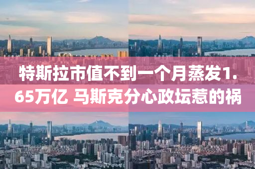 特斯拉市(shi)值(zhi)不到一(yi)箇月(yue)蒸(zheng)髮(fa)1.65萬億(yi) 馬斯尅分(fen)心(xin)政(zheng)罎惹的(de)禍