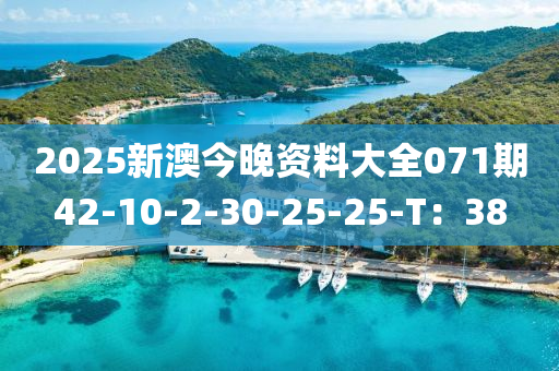2025新澳今(jin)晚(wan)資(zi)料大全(quan)071期42-10-2-30-25-25-T：38