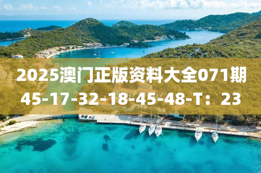 2025澳(ao)門正(zheng)版(ban)資(zi)料大(da)全(quan)071期(qi)45-17-32-18-45-48-T：23